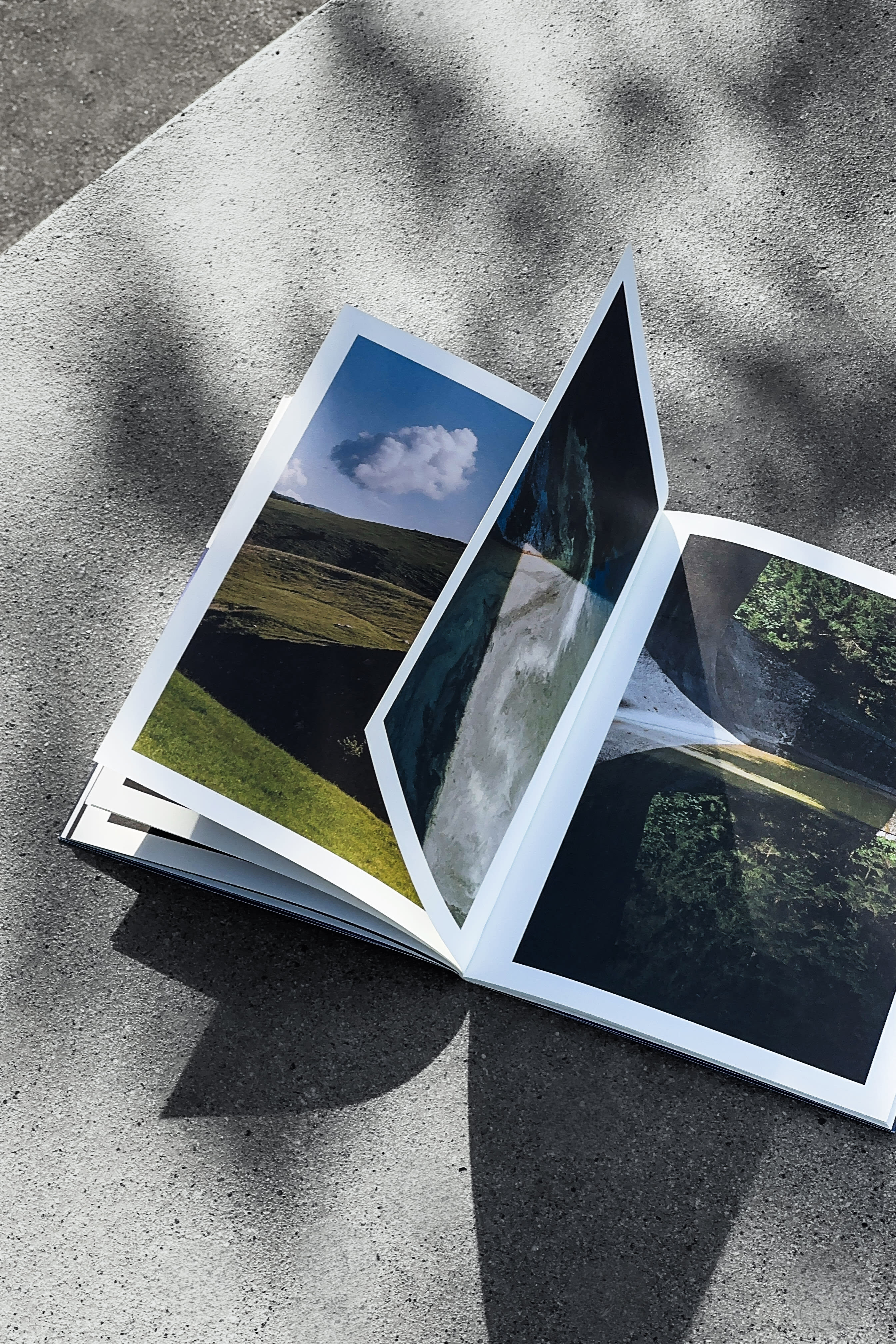 Photo of Desire Lines